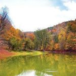 سفر دو روزه به دل جنگل های هیرکانی دریاچه چورت