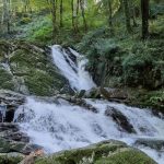 تور گیلان زیبا/پاییز جنگلی از تهران و کرج