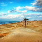 تور چابهار (سرزمین موج و مرجان)