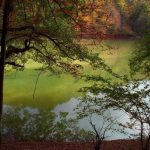 سفر دو روزه به دل جنگل های هیرکانی دریاچه چورت