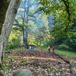 توحید حبیبی لیدر طبیعت گردی در اردبیل