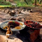 توحید حبیبی لیدر طبیعت گردی در اردبیل