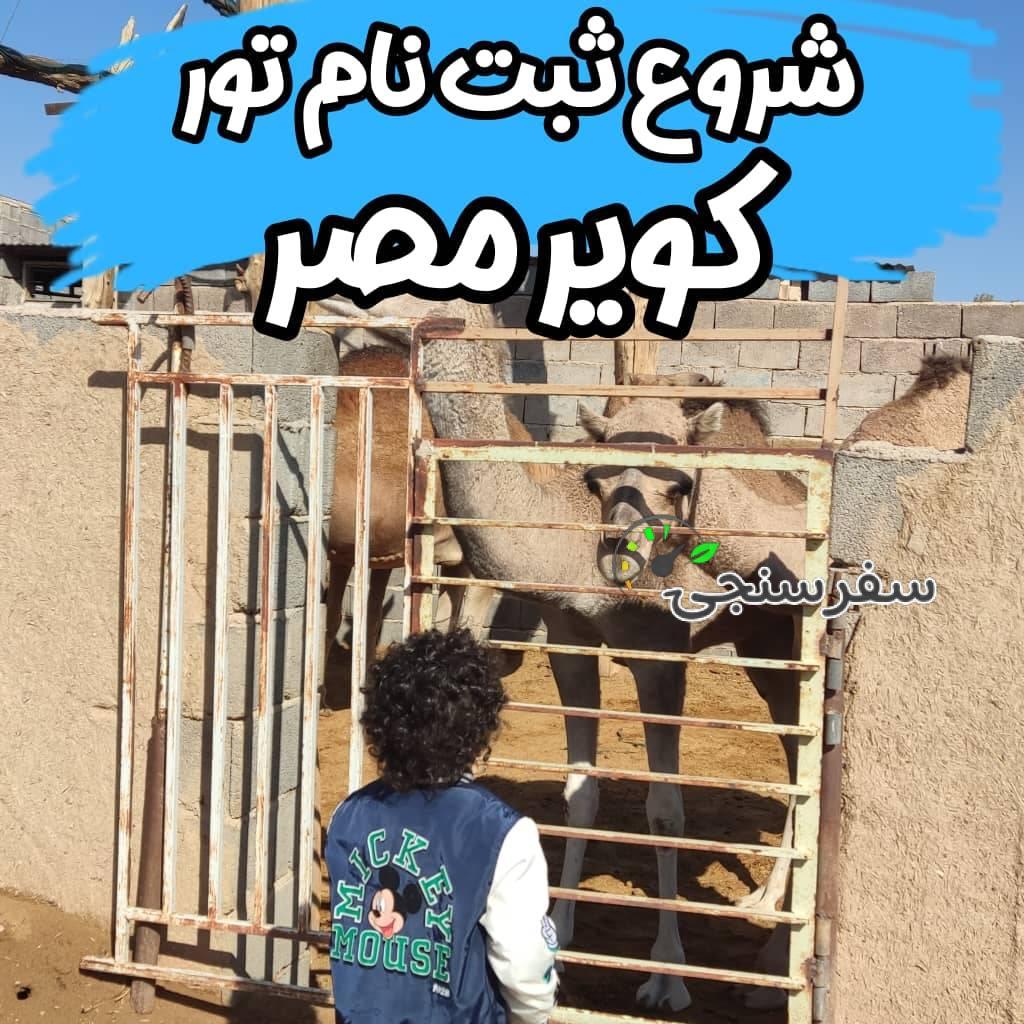 🏜️🐪 تور ۲.۵ روزه خانوادگی در طبیعت زیبای کویر مصر، آبشار پتاس و چشمه روستای گرمه