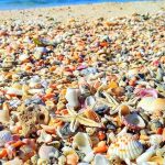 تور ریلی جزایر سه گانه قشم ،هرمز،هنگام