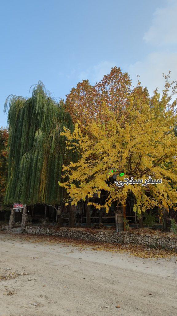 تور بهشت گمشده از شیراز