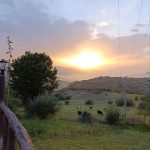 سحر کریمی اجاره واحد مسکونی اقامتگاه کوهستان در رودبار گیلان