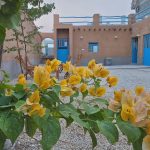 تور ترکیبی جزیره مارو+جزیره لاوان+ساحل مکسر و گردنه عشاق