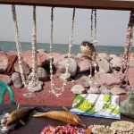 قشم و هرمز و هنگام (ویژه شب یلدا)