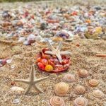 تور سواحل سه گانه قشم ،هرمز،هنگام