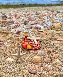 تور سواحل سه گانه قشم ،هرمز،هنگام