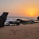 بازدید از سواحل پارسیان