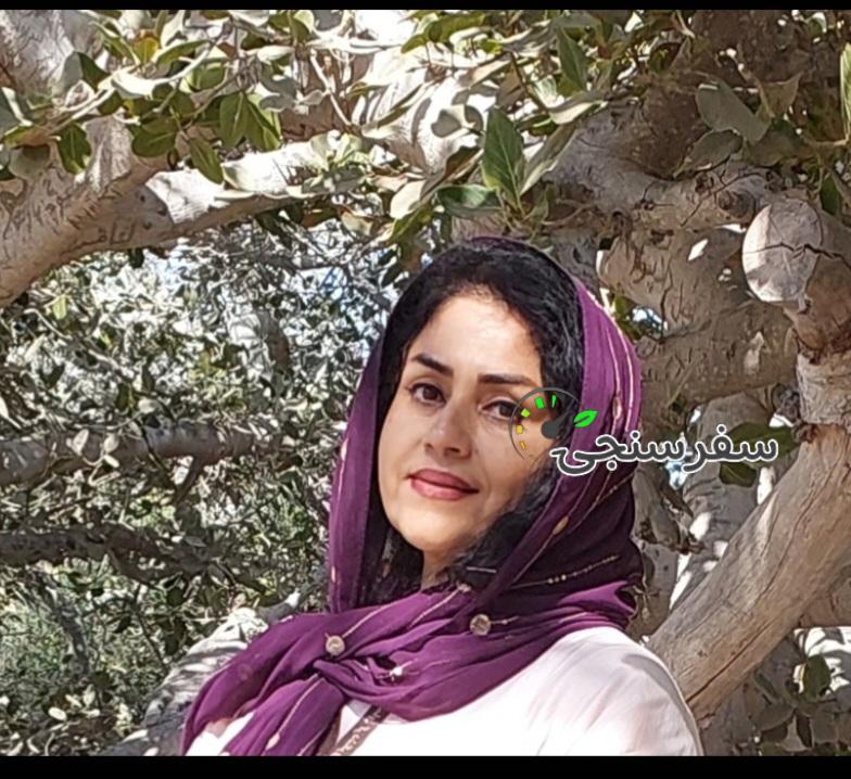 زهرا صیدی تورلیدر گردشگران ورودی، شهری و فرهنگی در مشهد