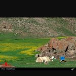 سجاد آزادی لیدر محلی(راهنمای منطقه)سوباتان