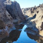 عبدالحمید محمودی نیا بلد محلی ولیدر محلی چابهار