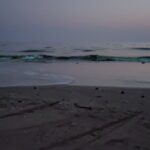 عبدالحمید محمودی نیا بلد محلی ولیدر محلی چابهار