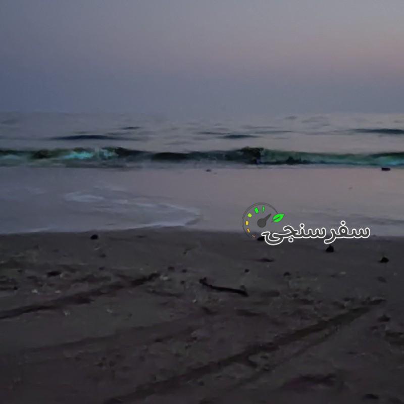 عبدالحمید محمودی نیا بلد محلی ولیدر محلی چابهار