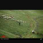 اقامتگاه بومگردی(سوباتان) در گیلان