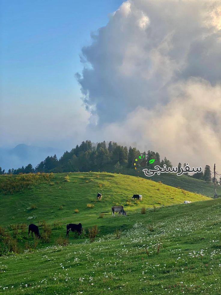 تور از کراچی تا هیمالیا