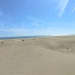 علیرضا دهمرده لیدر محلی در سیستان و بلوچستان(چابهار)