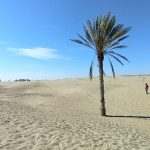 علیرضا دهمرده لیدر محلی در سیستان و بلوچستان(چابهار)