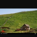 سجاد آزادی لیدر محلی(راهنمای منطقه)سوباتان