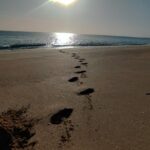 عبدالحمید محمودی نیا بلد محلی ولیدر محلی چابهار