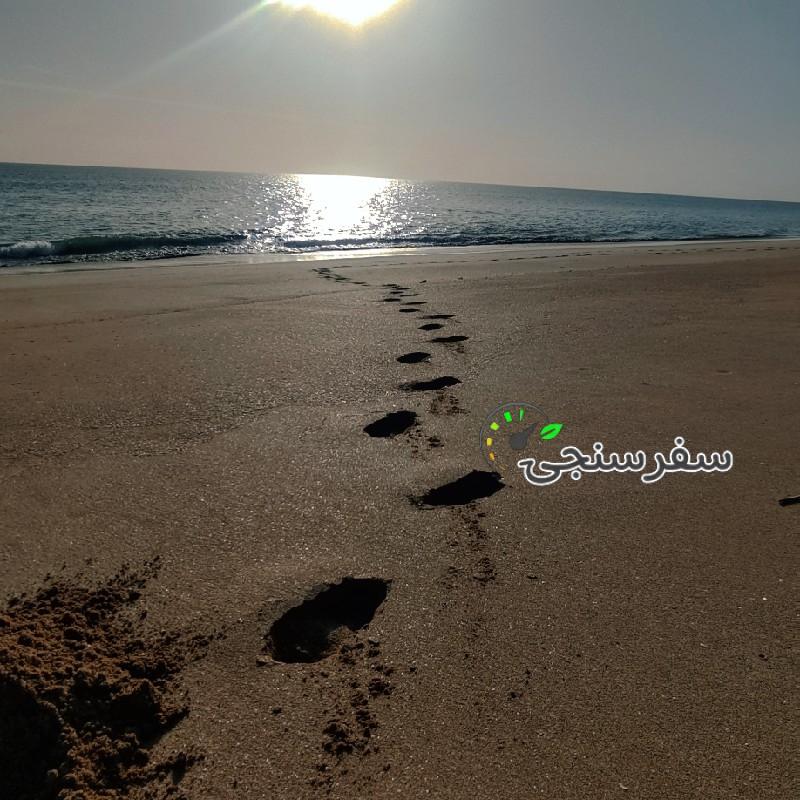 عبدالحمید محمودی نیا بلد محلی ولیدر محلی چابهار