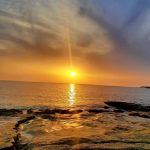 تور جزیره ابوموسی