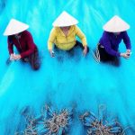 تور گروهی ویتنام