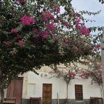 تور گروهی بندرکنگ تا مکسر