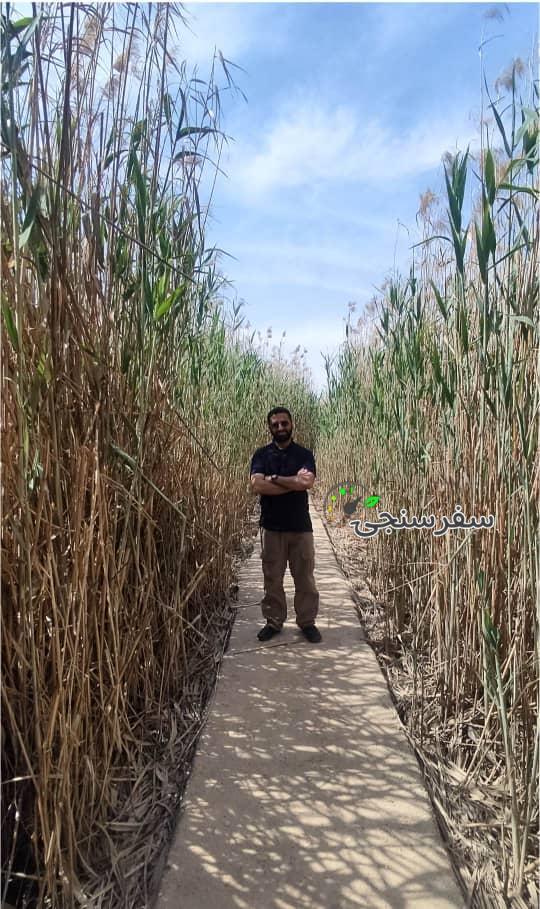 صالح موسوی مترجم عربی عراقی و لبنانی در تهران