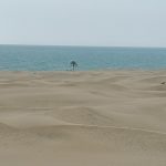 عدنان ملک رئیسی نژاد لیدر محلی در چابهار