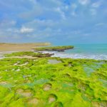 علی چاکری لیدر و بلد محلی در چابهار