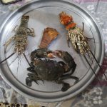 عباس دلپسند لیدر محلی شهر چابهار و حومه