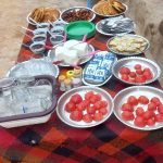 زهرا سازگار اقامتگاه دزلند در دزفول خوزستان