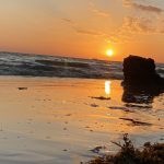 علی چاکری لیدر و بلد محلی در چابهار