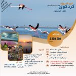 مهران (محمدرضا) علیخانی تولید کننده محتوا در اصفهان