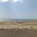 عدنان ملک رئیسی نژاد لیدر محلی در چابهار