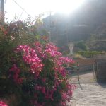 زهرا سازگار اقامتگاه دزلند در دزفول خوزستان