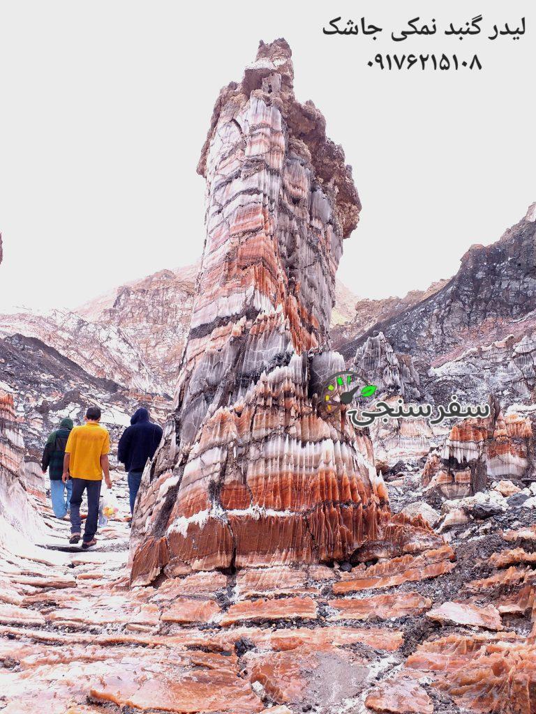 سید محمد هاشمی اجاره ماشین و لیدر محلی استان بوشهر