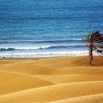 رضا حصاری لیدر محلی طبیعت گردی چابهار