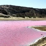 رضا حصاری لیدر محلی طبیعت گردی چابهار