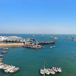 رضا حصاری لیدر محلی طبیعت گردی چابهار