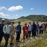 کریم مداح تور لیدر طبیعت گردی در تهران