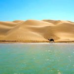 رضا حصاری لیدر محلی طبیعت گردی چابهار