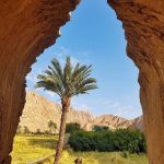 تور نوروزی ۱۴۰۴ طبس