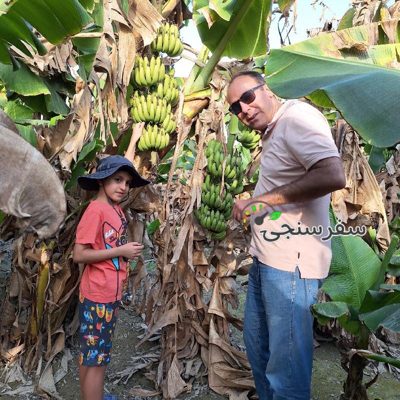 حمید بلوچ لیدر محلی چابهار و سرباز