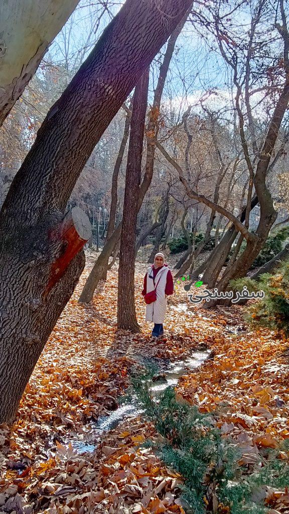 آلاء ابراهیمی مترجم عربی (لهجه کویتی در حد زبان مادری) در مشهد