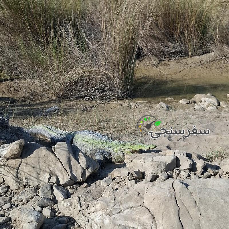 محمد بالو لیدر محلی چابهار با ده سال کاری در زمینه گردشگری