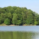 تور یک روزه دریاچه و جنگل برنجستانک نوروز 1404